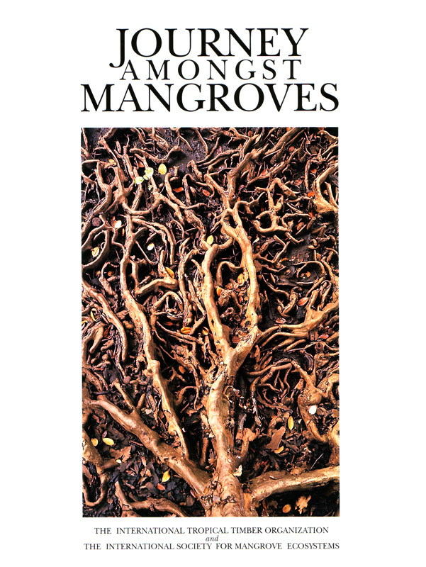 Journey Amongst Mangroves